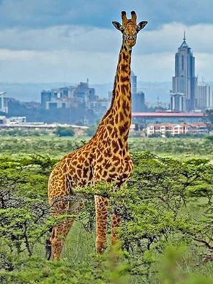 Kenya